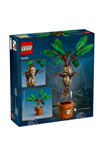 76433 LEGO® Harry Potter™ Adamotu