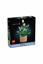 Lego Botanicals Barış Çiçeği 11504