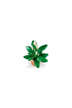 Lego Botanicals Barış Çiçeği 11504