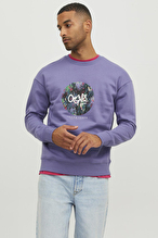 Jack&Jones Erkek Sweatshirt 12242366