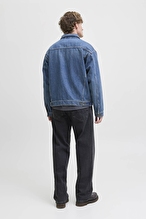 Jack&Jones Alex Erkek Kot Pantolon 12252762 Black Denim
