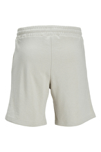 Jack&Jones Erkek Şort 12248831 MOONBEAM