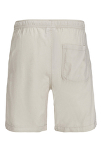 Jack&Jones Erkek Şort 12253032