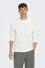 Only&Sons Erkek Sweatshirt 22029226