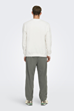 Only&Sons Erkek Sweatshirt 22029226