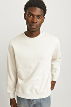 Jack&Jones Erkek Sweatshirt 12259945 MOONBEAM