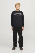 Jack&Jones Junior Erkek Çocuk Sweatshirt 12258967