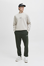 Jack&Jones Erkek Sweatshirt 12278791 MOONBEAM