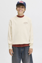Jack&Jones Junior Erkek Çocuk Sweatshirt 12269298