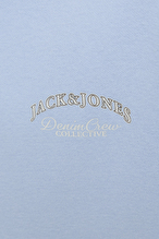 Jack&Jones Junior Erkek Çocuk Sweatshirt 12269298