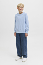 Jack&Jones Junior Erkek Çocuk Sweatshirt 12269298