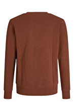 Jack&Jones Junior Erkek Çocuk Sweatshirt 12258967