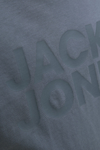 Jack&Jones Junior Erkek Çocuk Tişört 12152730