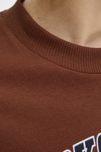 Jack&Jones Junior Erkek Çocuk Tişört 12258924