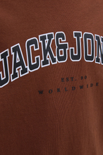 Jack&Jones Junior Erkek Çocuk Tişört 12258924