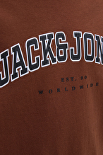 Jack&Jones Junior Erkek Çocuk Tişört 12258924