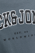 Jack&Jones Junior Erkek Çocuk Tişört 12258924