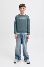 Jack&Jones Junior Erkek Çocuk Sweatshirt 12279444