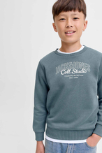 Jack&Jones Junior Erkek Çocuk Sweatshirt 12279444