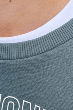Jack&Jones Junior Erkek Çocuk Sweatshirt 12279444