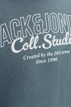 Jack&Jones Junior Erkek Çocuk Sweatshirt 12279444