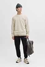Jack&Jones Erkek Sweatshirt 12287995 MOONBEAM