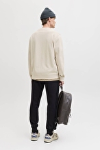 Jack&Jones Erkek Sweatshirt 12287995 MOONBEAM