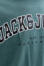 Jack&Jones Junıor Erkek Çocuk Tişört 12258924