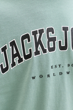 Jack&Jones Junıor Erkek Çocuk Tişört 12258924