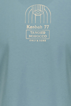 Only&Sons Erkek Tişört 22039103