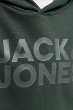 Jack&Jones Junior Erkek Çocuk Sweat 12152841
