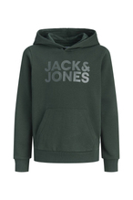 Jack&Jones Junior Erkek Çocuk Sweat 12152841