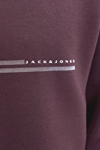 Jack&Jones Erkek Sweatshirt 12289830 FUDGE