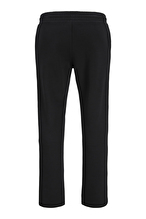 Jack&Jones Erkek ESofman Altı 12310633 BLACK