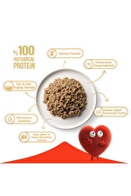 Wanpy Tahılsız Kedi %100 Gerçek Et 375 gr Ton Balıklı Konserve