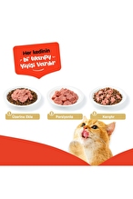Wanpy Tahılsız Kedi %100 Gerçek Et 375 gr Kuzulu Konserve