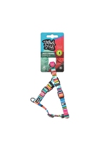 MPETS JAZZ STRIPES GOGUS TASMA(XS)1