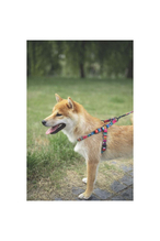 M-Pets Jazz Stripes Göğüs Tasması S