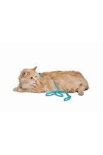 MPETS KEDI GOGUS TASMASI GEZDIR.SET BLUE