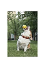 M-Pets Oyun Topu Parcalanmaz Yellow/gray