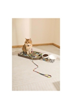 M-Pets Urban Style Freestyle Kedi Karton Tırmalama Tahtası 50x30cm Renkli
