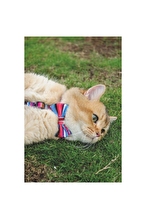 M-Pets Urban Style Jazz Strip Papyon(l)