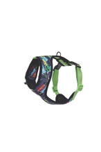 M-Pets Urban Style Dna Easy Fit Köpek Göğüs Tasması (Xs)