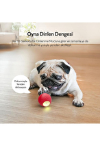 Cheerble Şarjlı Akıllı İneraktif Köpek Oyun Topu Kırmızı Small 5.5 cm