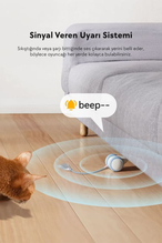Cheerrble Şarjlı Kedi Fare Oyuncağı