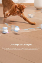 Cheerrble Şarjlı Kedi Fare Oyuncağı