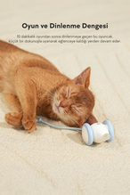 Cheerrble Şarjlı Kedi Fare Oyuncağı