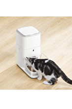 CATLINK Otomatik Mama Kabı 4 Lt