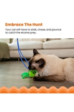 Catstages Tail Teaser Kedi Oltası