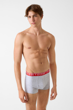 Guess Erkek 3'lü Boxer U97G01.RNK